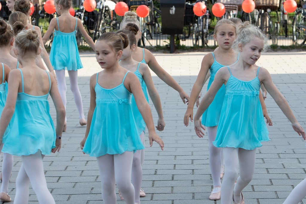 Schoolplein Festival A051.jpg